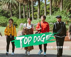 吃瓜不打烊《TOP DOG》免费在线观看