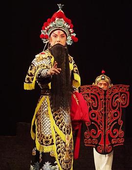 吃瓜天堂《袁崇焕2009》免费在线观看